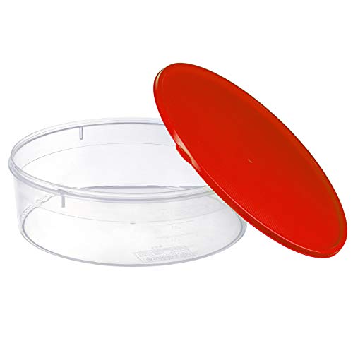 Zilpoo Plastic Pie Keeper with Lid, 10.5”, Christmas Cupcake Carrier