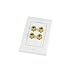 Mediabridge™ Speaker Wall Plate w/Binding Posts (2 Pair) - Free Low Voltage Metal Mounting Bracket (1-Gang) Binding Post 2-Piece Inset Wall Plate for 2 Speakers (Part# WP1-BPX2)