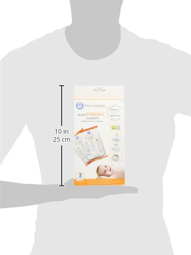 ever fresh replacement pillows