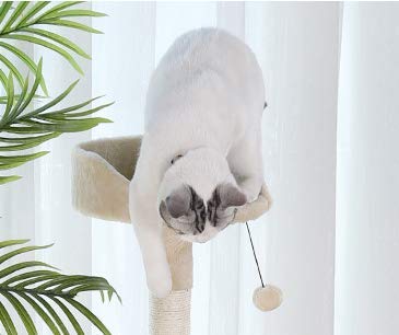 CATISM Arbre de Chat Moelleux avec Tunnel de Chat, Peut être employé pour des récréations d’Animal familier, la Saisie de Griffe de Pratique, 60 x 40 x 60 cm