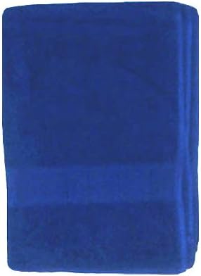 Ben Kaufman Sales Terry Bath Sheet/Beach Blanket Color: Navy
