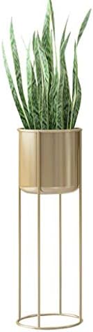 LYXPUZI Nordic Flower Stand/Wrought Iron Decoration Living Room Indoor Floor-Standing Green Flower Pot Rack (Color : Gold, Size : 60cm)