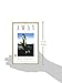 Away: A Novel