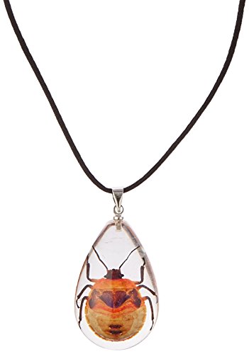 REALBUG Shield Bug Necklace, Clear, Small