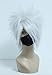 COSPLAZA Synthetic Cosplay Wig Silver White Male Anime Show Halloween Short Anime Full Hair