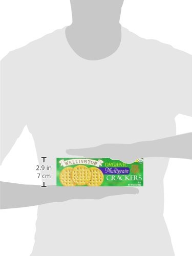 Wellington Organic Multigrain Water Crackers, 5.3-Ounces (Pack of 12) - Thumbnail 6
