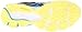 New Balance Women's W680 Neutral Running Shoe