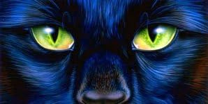 Airbrushed License Plate - Cat Eyes Custom Design License Plate, Personalized Airbrushed Cat Eyes License Plate Novelty auto tag Custom Decorative Airbrush Front plate, frame and cover included - 733