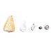 Super Z Outlet Mixed Ocean Beach Fairy Garden Seashells Marine Life for Arts & Crafts, Decorations, Party Favors Collection (Approx. 40 Pieces)