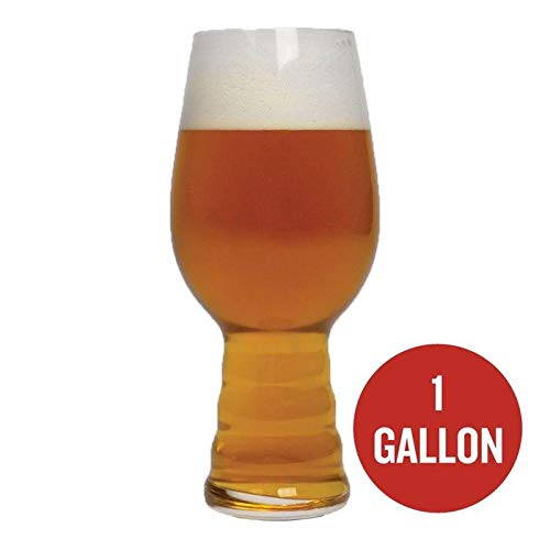 2Pack Famous Double IPAs 1 Gallon Homebrew Beer Recipe Bundle The