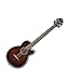 Ibanez Acoustic Electric Bass Guitar Package With Guitars Clip On Tuner and Guitars Cable (Electric Bass Guitar Bundle) in Dark Violin Sunburst