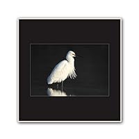 Framed Canvas Wall Art A Bird Standing on Canvas Prints Home Artwork Decoration for Living Room,Bedroom - 16x16 inches