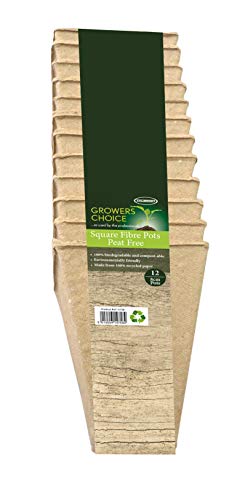 Bosmere 12 x 8 cm N758 Square Fiber Pots