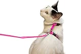 Pink Small Pet Harness Leash Nylon Adjustable Rope Strap Cat Harness and Leash Collar 4.5