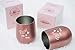 Rose Gold Wine Tumbler, ROSÉ ALL DAY 12 oz Stainless Steel Double-Insulated Tumbler with Lid for Wine, Coffee, Beer, Cocktails, Champagne, Gift for Wine Lovers, Bridesmaids and Girlfriends