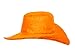 Western Hat Cover