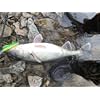 Shaddock-Fishing–10pcs-137g-Fishing-Lures-Hard-Minnow-Baits-Topwater-Floating-Life-like-Swimbait-Fishing-Lures-Bass-Crankbait-Tackle