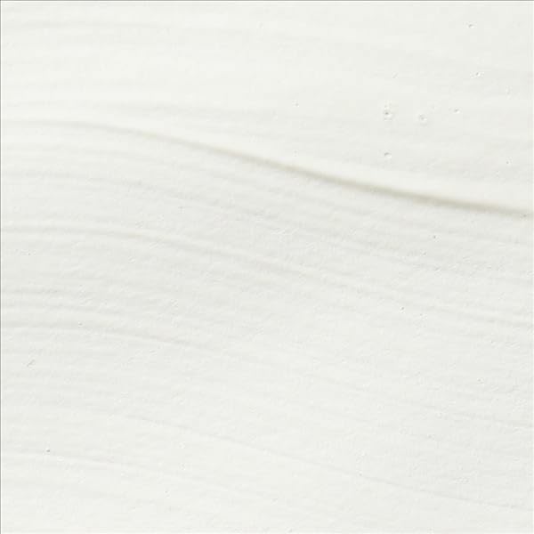 SAX PAINT ACRYLIC HB TITANIUM WHITE 1/2 GALLON