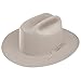 Stetson Men's 6X Open Road Fur Felt Cowboy Hat