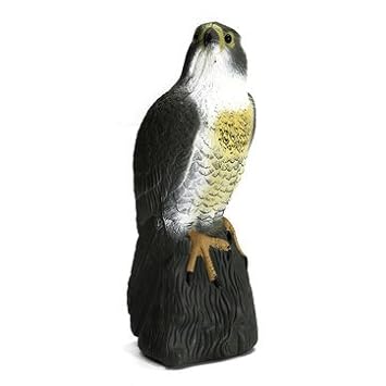 Buy Generic Hawk Decoy Bird Pigeon Deterrent Online At Low