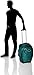 Osprey Meridian 60 L/22
