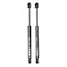 BOXI 2pcs Trunk Gas Charged Lift Support for Buick Century 00-05, Buick Regal 99-04, Oldsmobile Intrigue 98-02 Trunk with Spoiler SG430025, 10419581