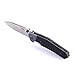 Knife F7491-BK by Ganzo G7491 Firebird Pocket Folding Hunting Knife G-10 Handle SS Blade