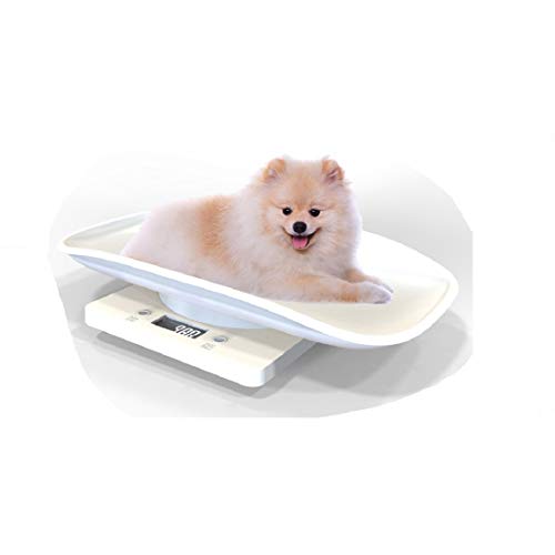 Function Digital Pet Scale to Measure Dog and Cat Weight Accurately Up to 22 Lbs, Precision at ± 1g, Whit Backlight (A) - Thumbnail 5