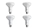 Philips LED Dimmable BR30 Light Bulb: 650-Lumen, 5000-Kelvin, 9-Watt (65-Watt Equivalent), E26 Base, Daylight, 4-Pack