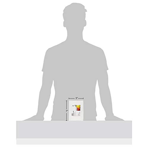 3 PHOENIX+Painting+Canvas+Panel+Boards