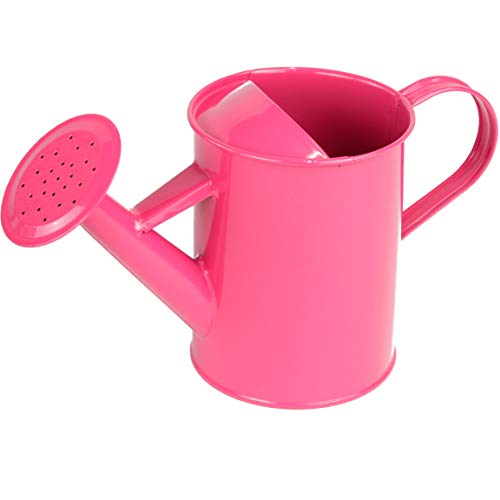 2 Taylor+Toy+Children+Gardening+Tool