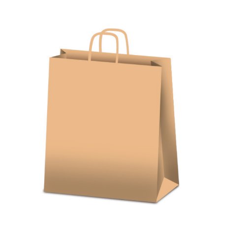 Rex Sadoch sds46avn Cardboard Bag with Handles