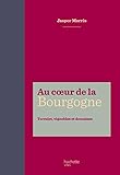 Au coeur de la Bourgogne : Terroirs, vignobles et domaines by