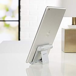 AmazonBasics L6LSH001-CS-R Multi-Angle Portable