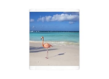 Mug Of Flamingos On Flamingo Beach Renaissance Island