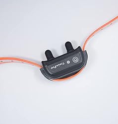 TrainPro 27 ½” X ¾” Replacement Dog Collar