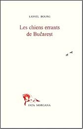 Les  chiens errants de Bucarest