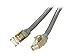 Rosewill 25-Feet Cat 7 Color Shielded Twisted Pair (S/STP) Networking Cable, Grey (RCW-25-CAT7-GE)