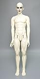Zgmd 1/3 BJD Doll Ball Jointed Doll Body Elf Ear
