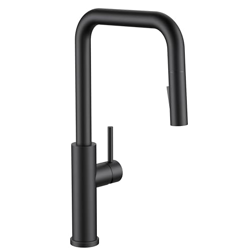 FORIOUS Kitchen Faucet Pull Down Sprayer