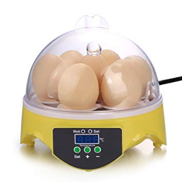 Indu 20 Aluminium Fully Automatic Egg Incubator for Hatching 7 Chicken Eggs or Equivalent (Multicolour)