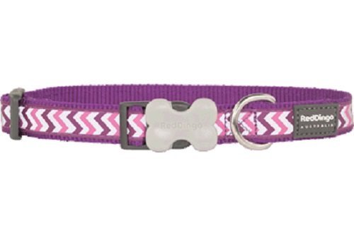 Red Dingo Reflective Ziggy Dog Collar, Large, Purple