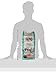 NUTRO WHOLESOME ESSENTIALS Adult Natural Dry Cat Food Salmon & Brown Rice Recipe, 6.5 lb. Bag