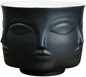 SNIIA Ceramic Small Succulent Cactus 6-Face Planter Head Face Flowers Plant Pots Vase Home Decoration Succulent Cactus Indoor Plant Pot - 11.1x9.5cm