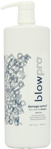 blowpro Damage Control Daily Repairing Shampoo, 32 fl. oz.