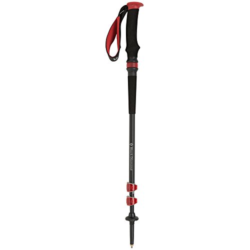 Black Diamond Trail Pro Shock Trekking Poles