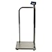 Brecknell MS140-300, Portable Medical Electronic Handrail Scale, 660 lb x 0.2 lb
