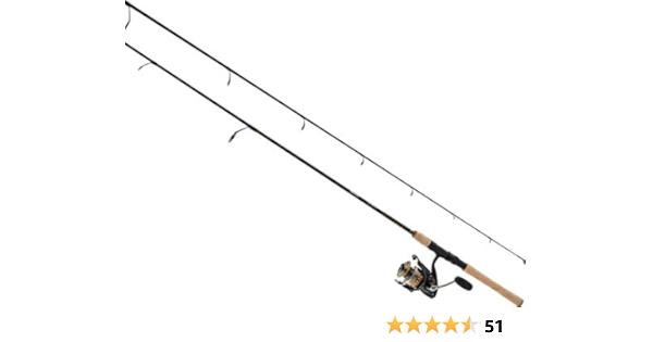 reel daiwa bg 2500