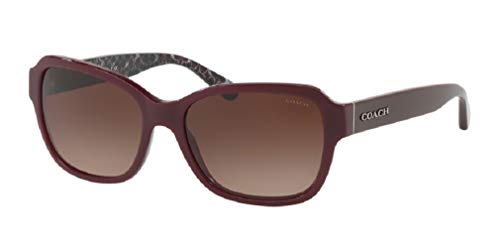 coach sunglasses brown