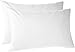 Pinzon 170 Gram Flannel Pillowcases - Standard, White